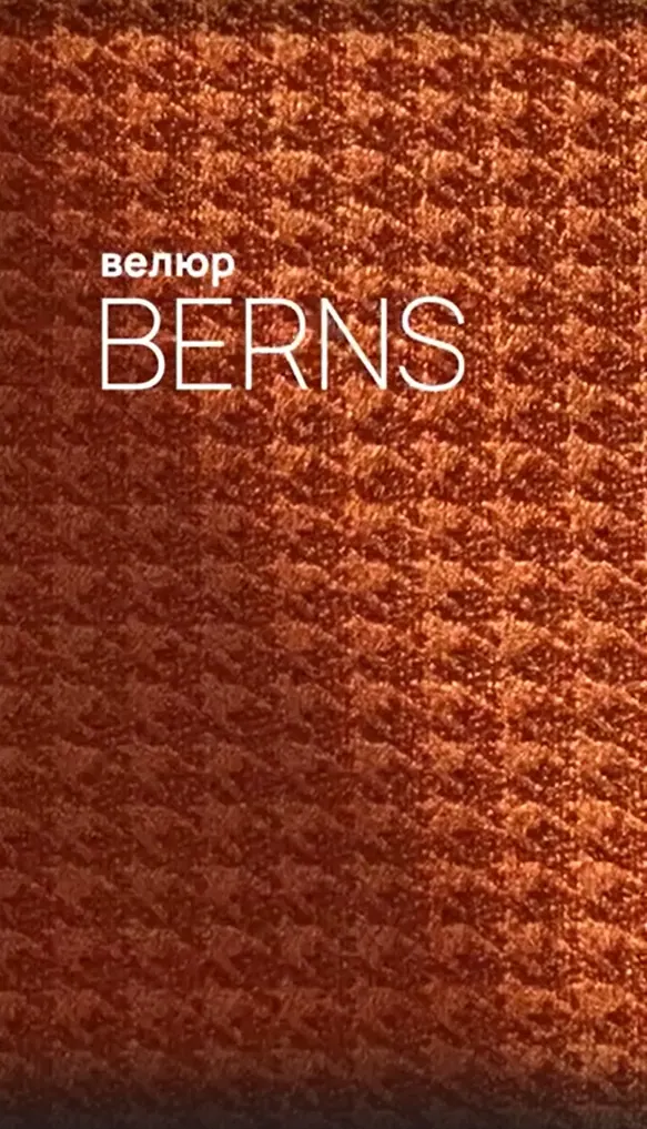 BERNS — макро
